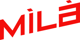 The Ultimate Vegan Dumpling Soup: Rich Broth, Tender Dumplings